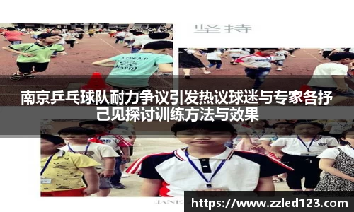 南京乒乓球队耐力争议引发热议球迷与专家各抒己见探讨训练方法与效果