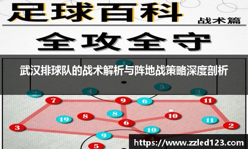 武汉排球队的战术解析与阵地战策略深度剖析