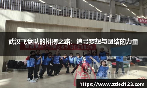武汉飞盘队的拼搏之路：追寻梦想与团结的力量