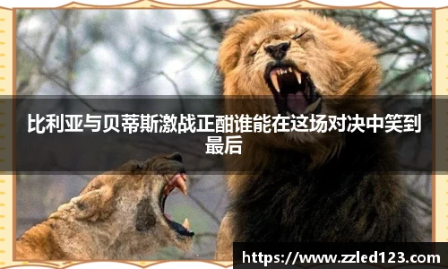 九游体育官网入口